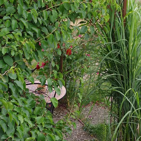 Bischoff 米歇尔施塔特