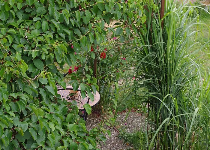 Bischoff Michelstadt